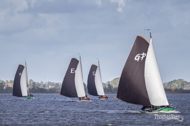 Roekoepollerace 2026